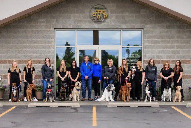 Veterinarian in Hayden, ID